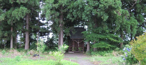 もうひとつの南米移民